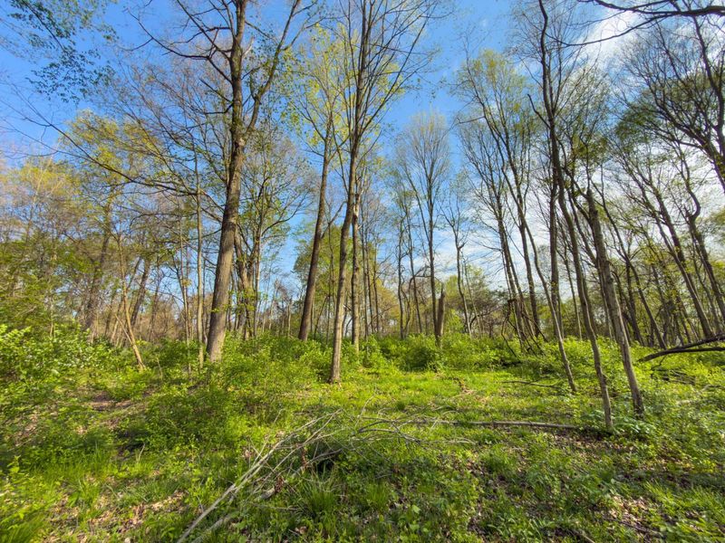 9874 Cincinnati Zanesville Road SW, Amanda, OH 43102 Photo 31