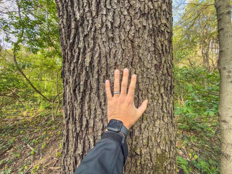 9874 Cincinnati Zanesville Road SW, Amanda, OH 43102 Photo 32