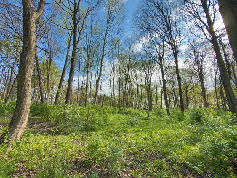 9874 Cincinnati Zanesville Road SW, Amanda, OH 43102 Photo 33