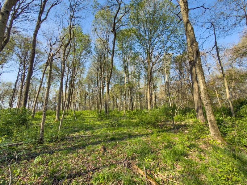 9874 Cincinnati Zanesville Road SW, Amanda, OH 43102 Photo 35