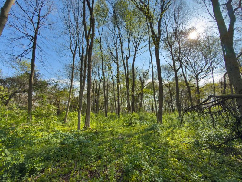 9874 Cincinnati Zanesville Road SW, Amanda, OH 43102 Photo 36