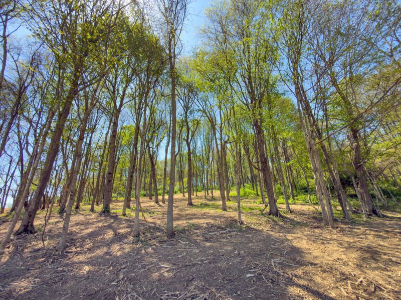 9874 Cincinnati Zanesville Road SW, Amanda, OH 43102 Photo 40