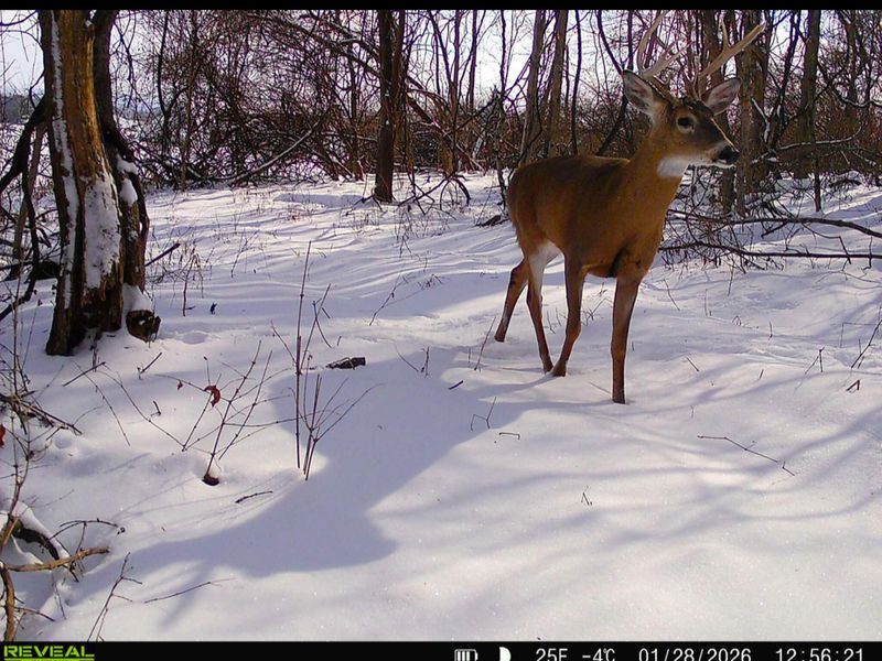 9874 Cincinnati Zanesville Road SW, Amanda, OH 43102 Photo 43