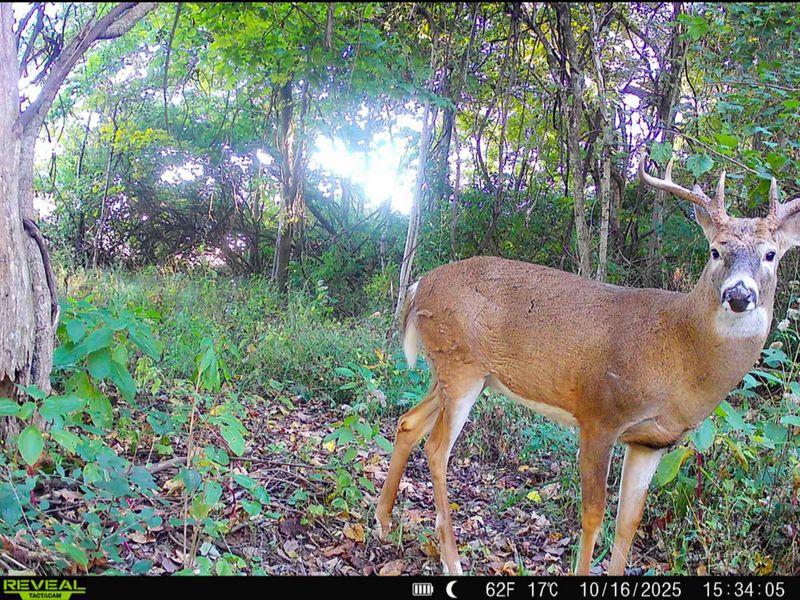 9874 Cincinnati Zanesville Road SW, Amanda, OH 43102 Photo 44