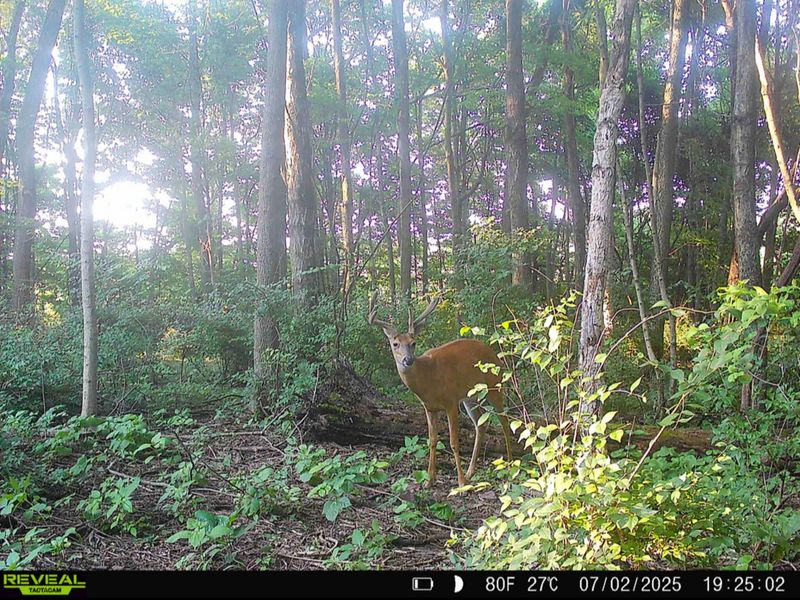 9874 Cincinnati Zanesville Road SW, Amanda, OH 43102 Photo 45