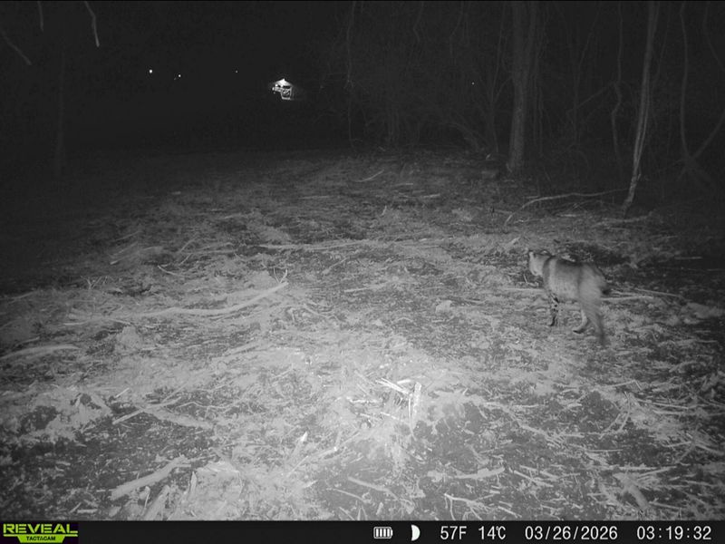 9874 Cincinnati Zanesville Road SW, Amanda, OH 43102 Photo 46