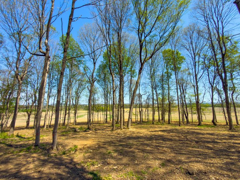 9874 Cincinnati Zanesville Road SW, Amanda, OH 43102 Photo 5