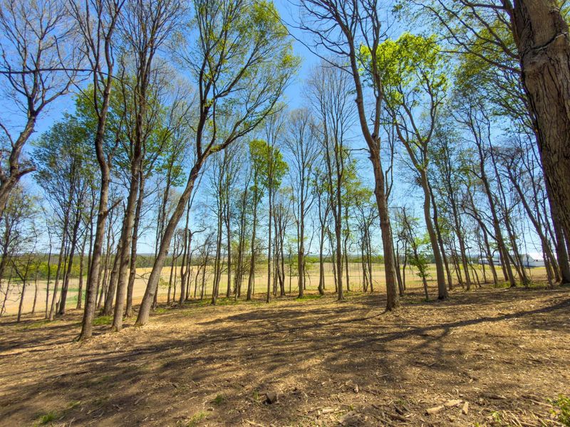 9874 Cincinnati Zanesville Road SW, Amanda, OH 43102 Photo 6