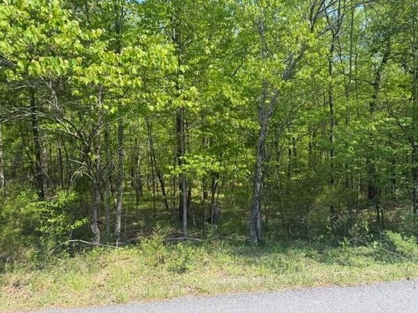 O Lees Gap RD, Fincastle, VA 24090