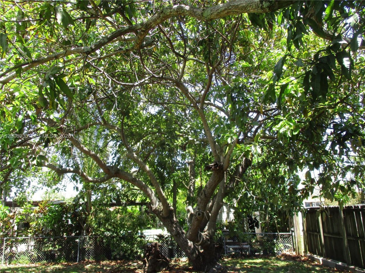 19311 Gulfstream Rd , Cutler Bay, FL 33157 Photo