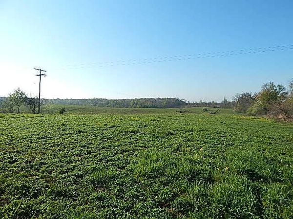 8833 W Territorial Road, Camden, MI 49232