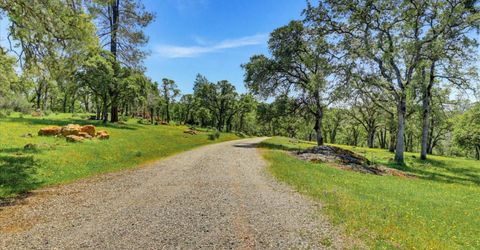 8877 Dutch Flat Trl, Smartville, CA 95977 Photo