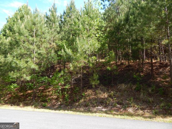 #361 The Cove at Thirteen Hundred, Young Harris, GA 30582