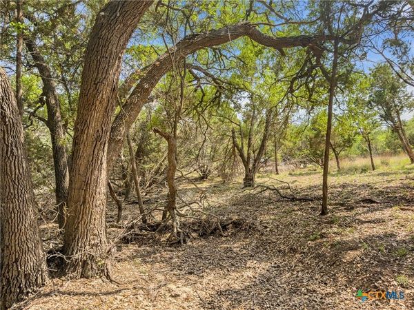 369 Onion Creek Lane, Blanco, TX 78606