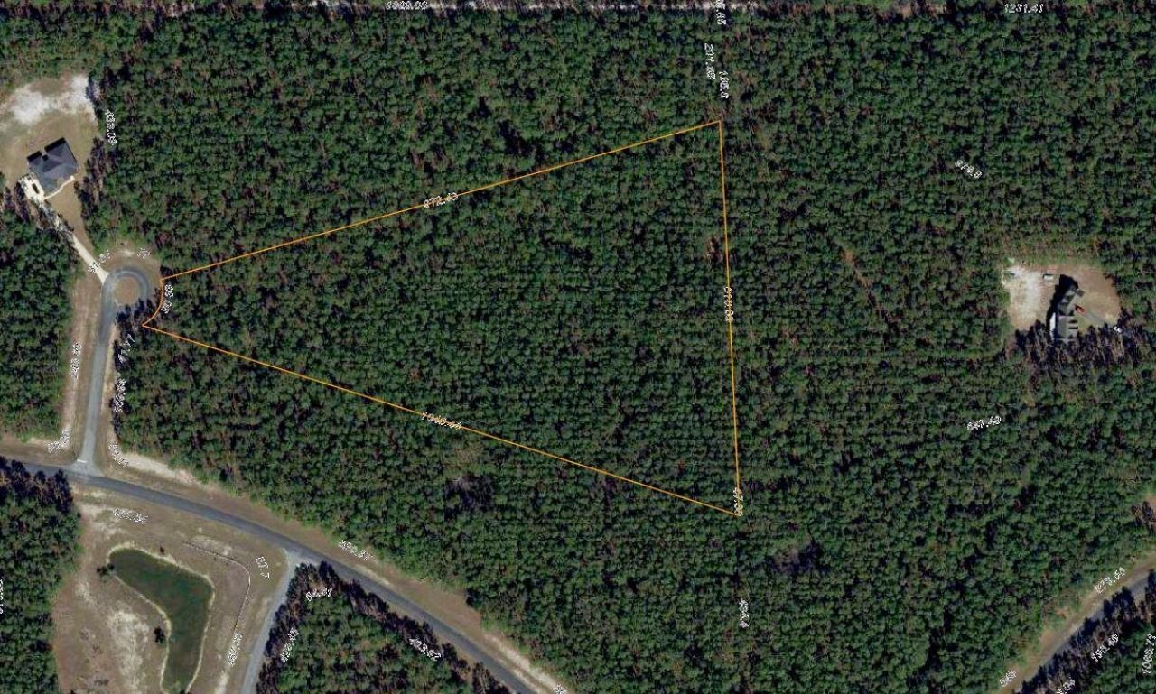 12333 Trotting Horse Court, Tallahassee, FL 32305 Photo