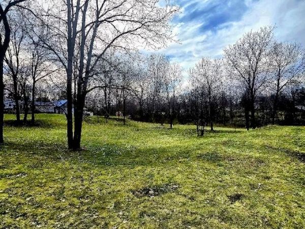 TBD Mcpherson Street, Stanton, MI 48888