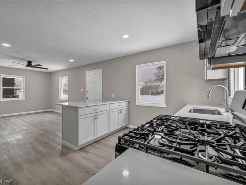 4131 W 145th Street, Cleveland, OH 44135 Photo 16