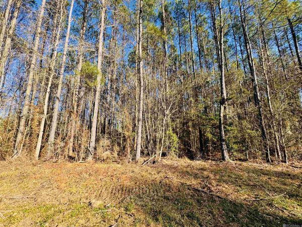 Lot 2 La Hwy 449, Pine Grove, LA 70453