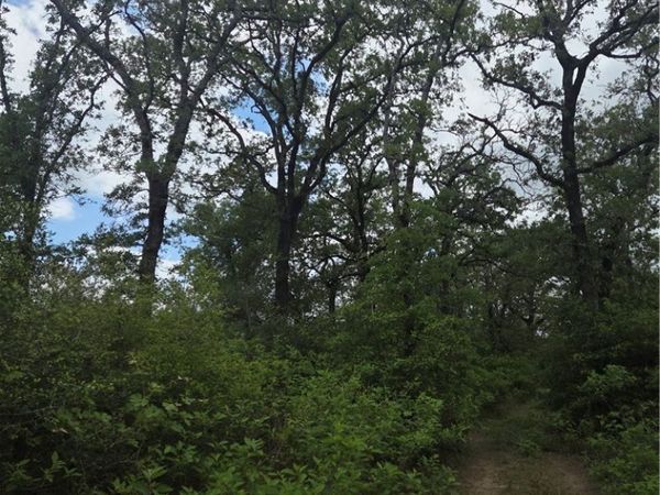 5345 Hwy 36 , Milano, TX 76556