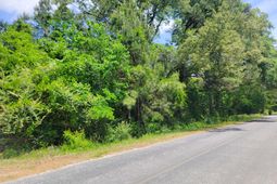 0000 Murraysville Road photo 4