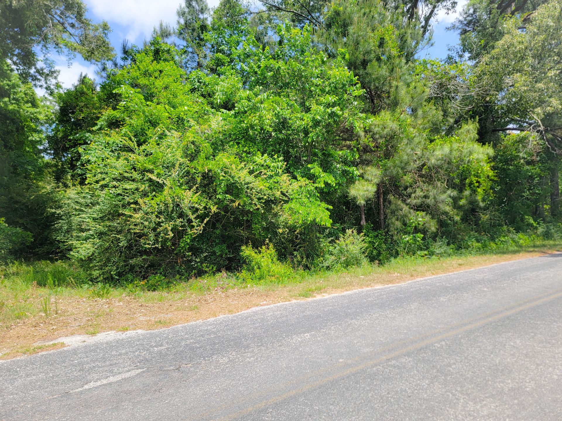 0000 Murraysville Road Photo 4