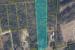 0000 Murraysville Road photo 4