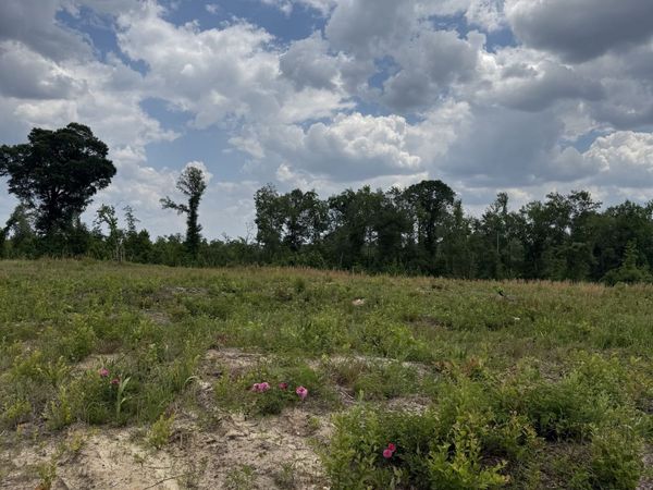 0 J D Williams Road, Cadwell, GA 31009