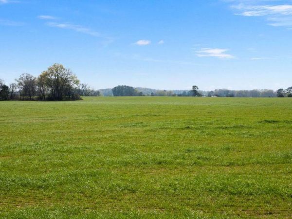 0 Miller Farm - Tract 2 Road, Taylorsville, GA 30178