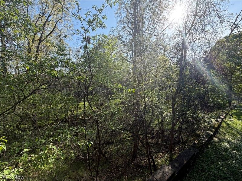 4648 Oak Point Road, Lorain, OH 44053 Photo 30