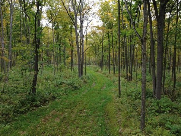 000 Nehrbass Road, Athens, WI 54411