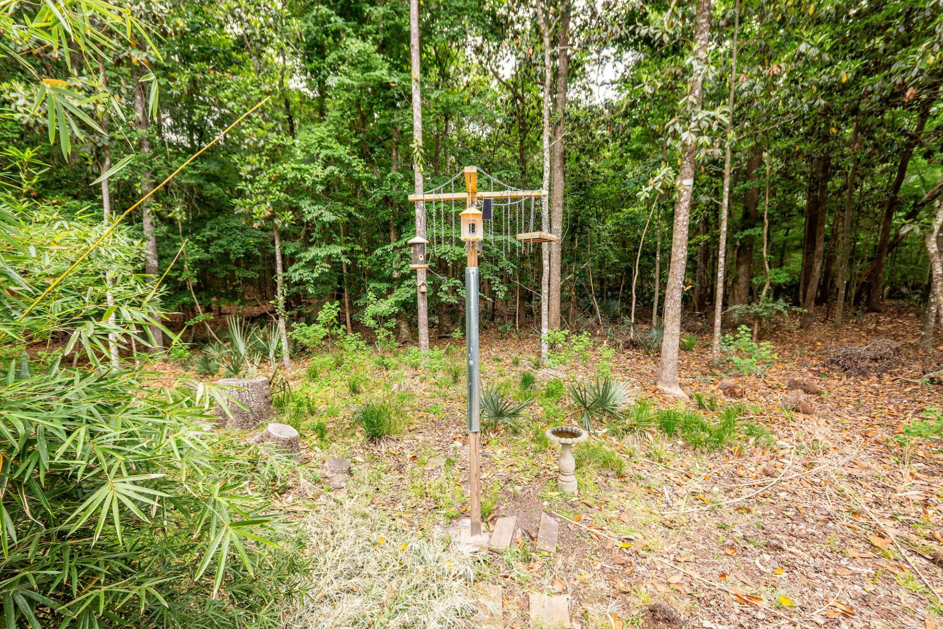 3429 Berryhill Road Photo 43