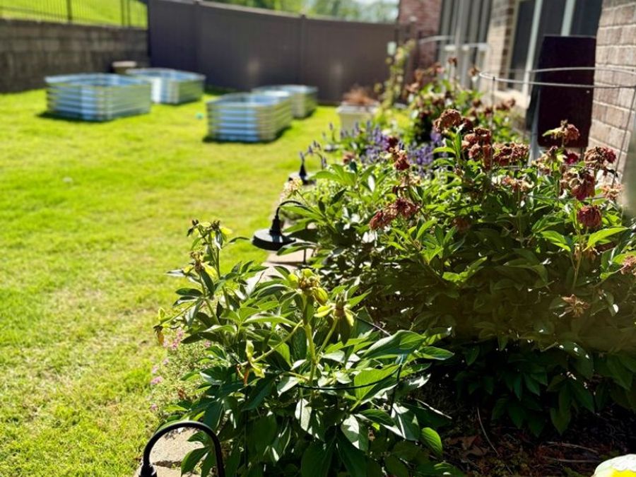 Property Image 70
