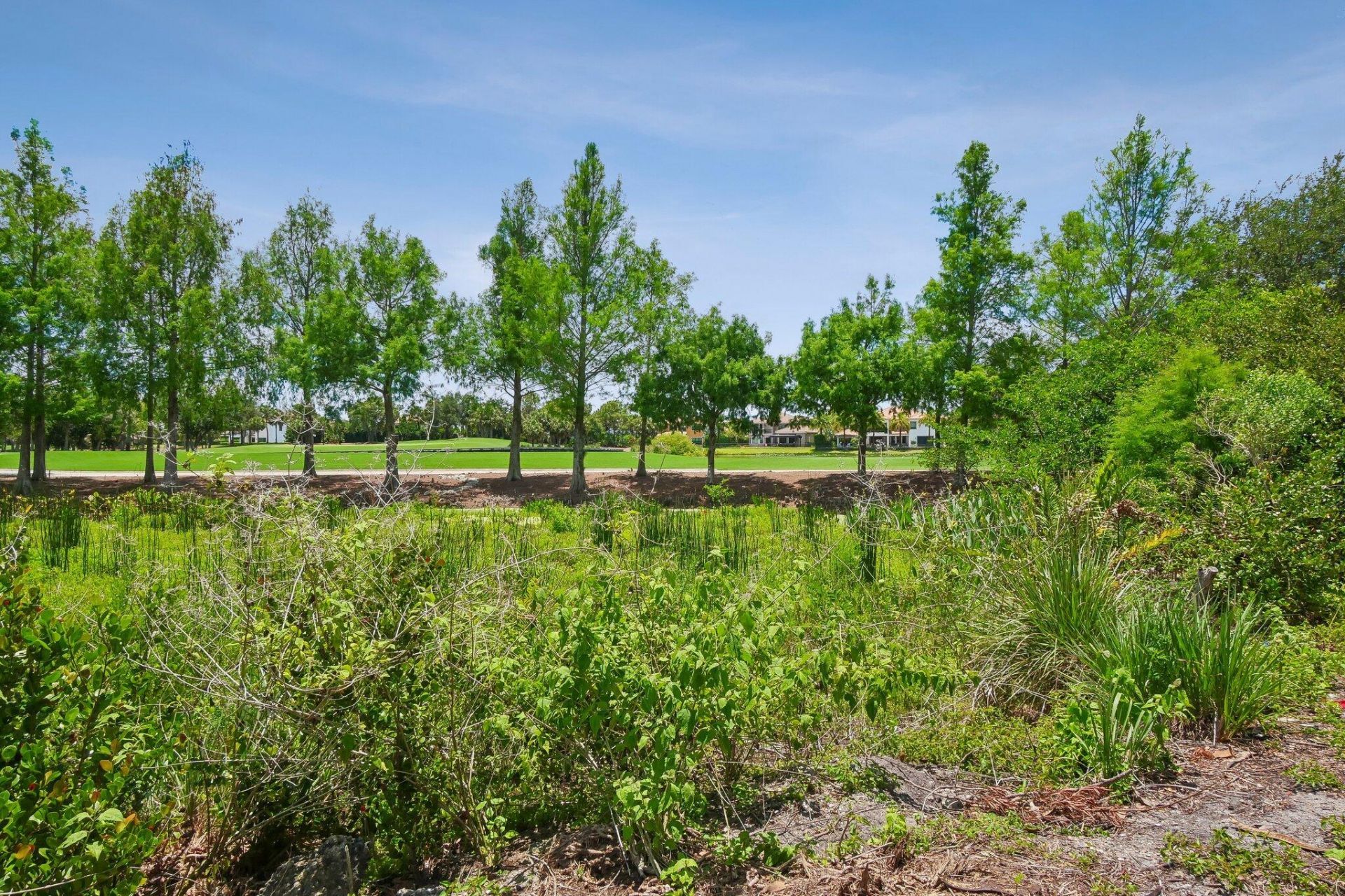 10272 Emerson Street, Parkland, FL 33076 Photo