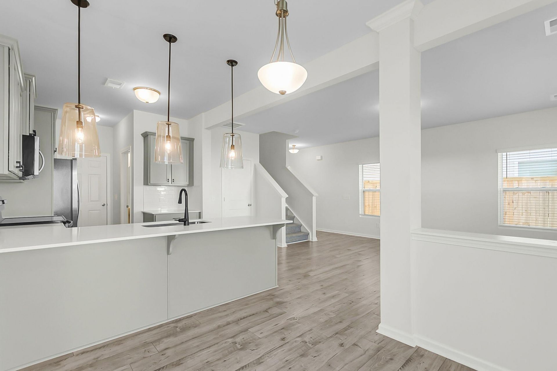 658 Snow Owl Drive Photo 13