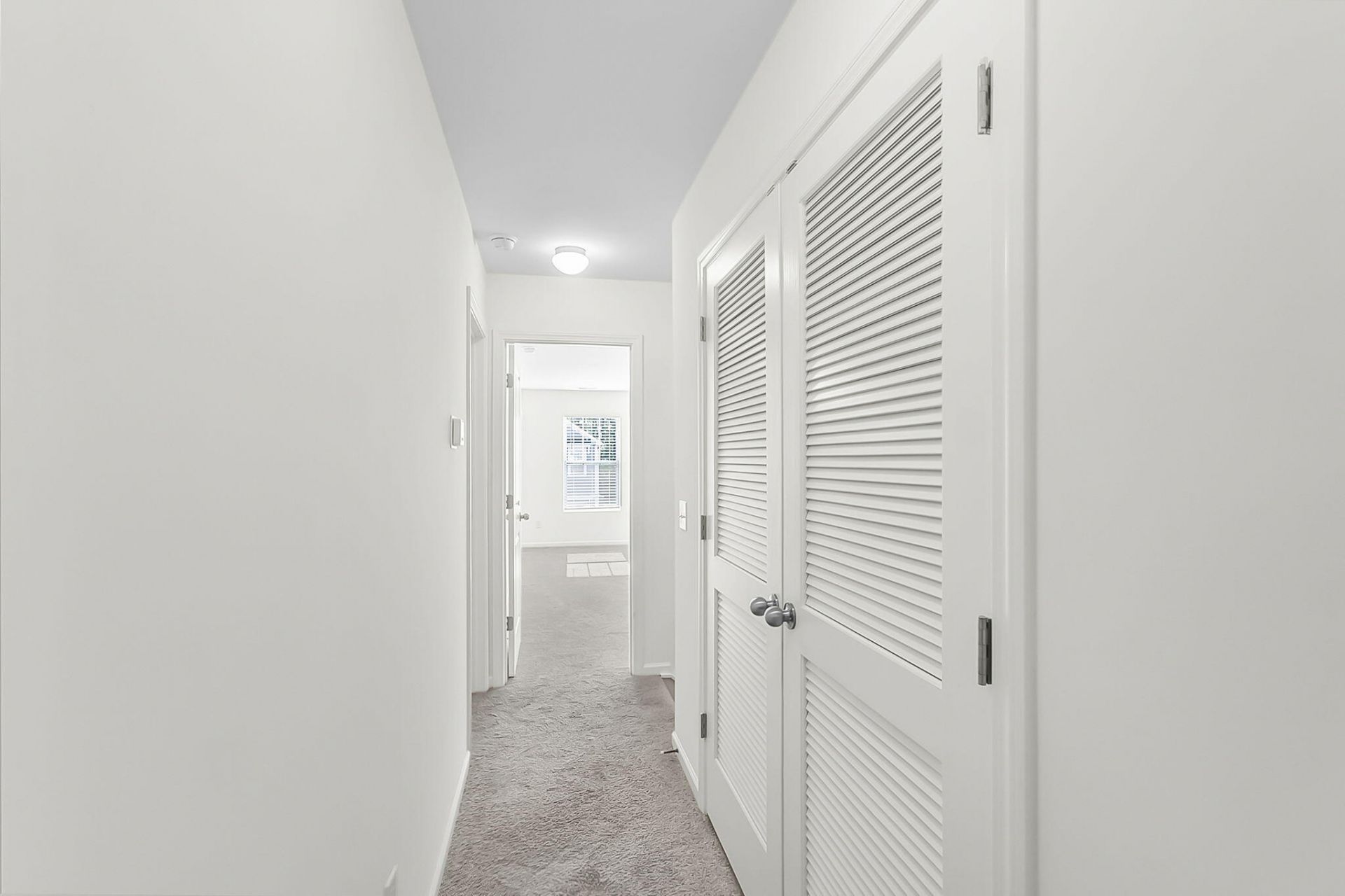 658 Snow Owl Drive Photo 22