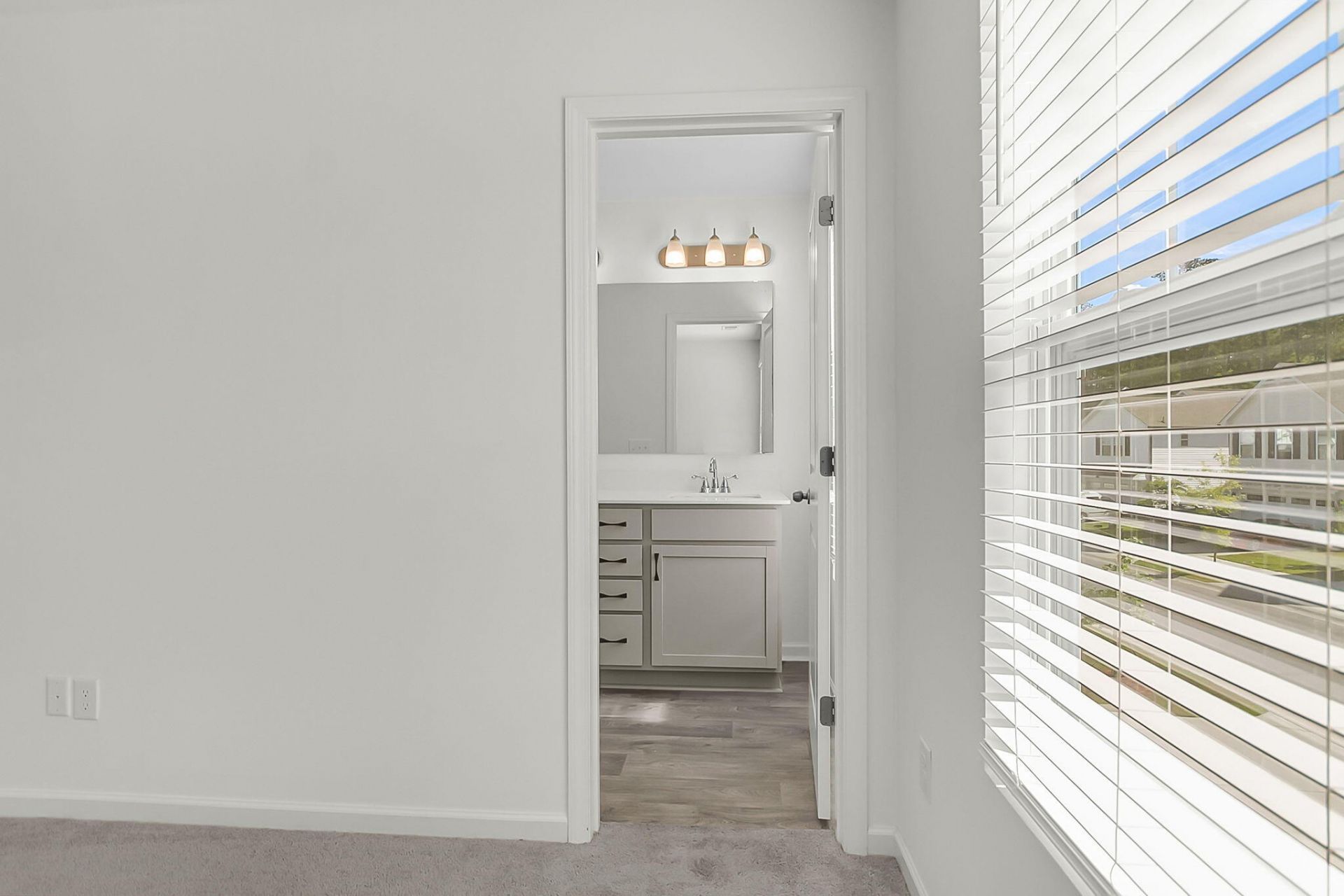 658 Snow Owl Drive Photo 33