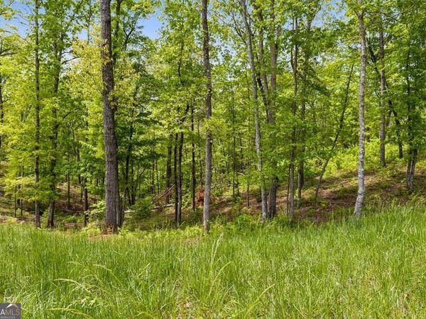 LOT 39 Jakes Landing Way, Ellijay, GA 30540