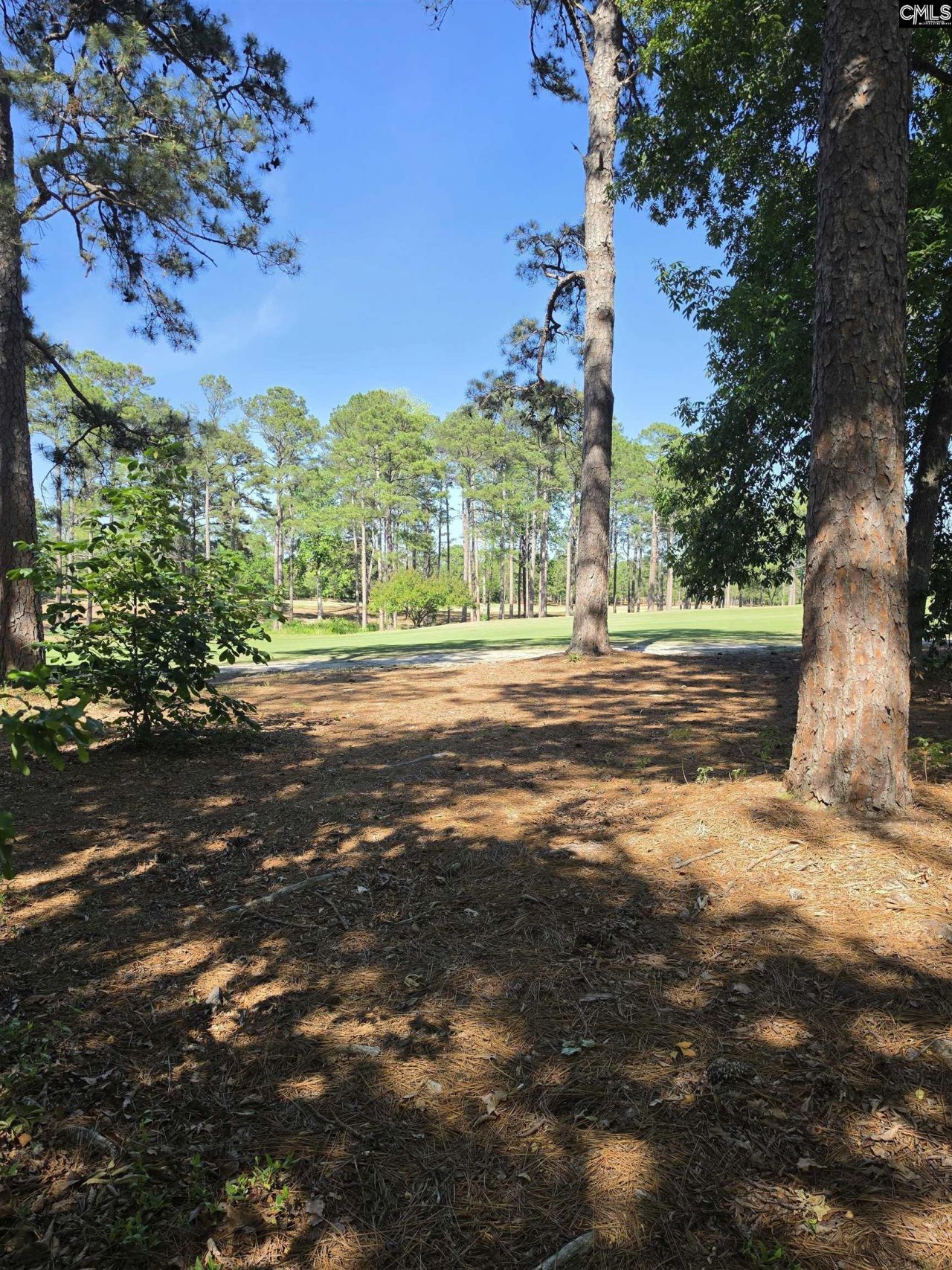 122 Creekside Cottage Court Photo 18
