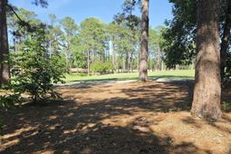 122 Creekside Cottage Court photo 4