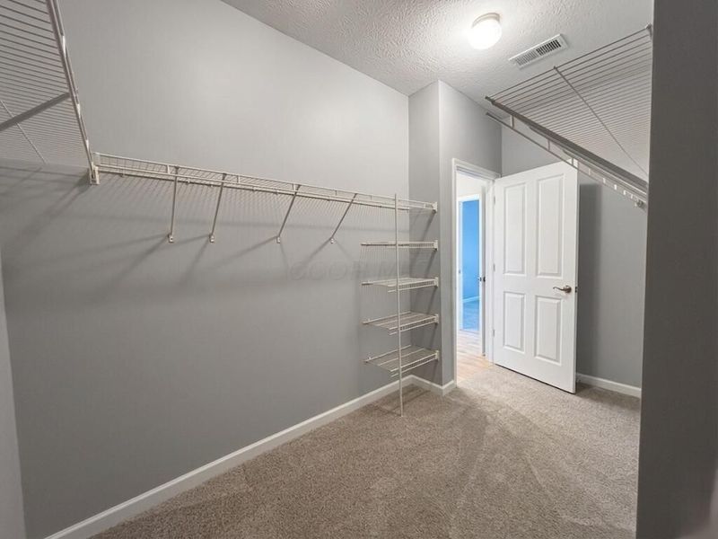280 Whistling Way Drive, Lewis Center, OH 43035 Photo 19