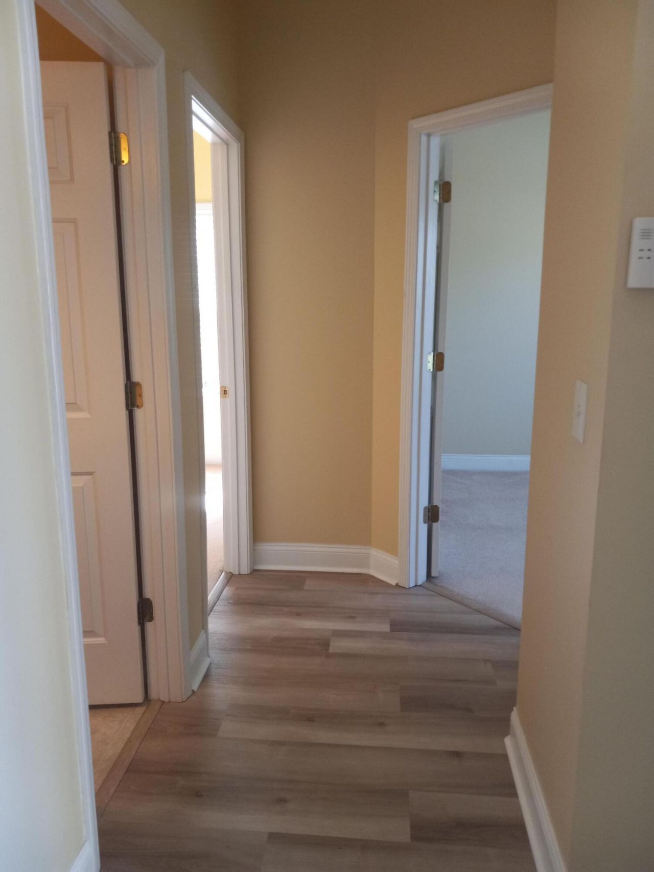 206 Equinox Circle Photo 13