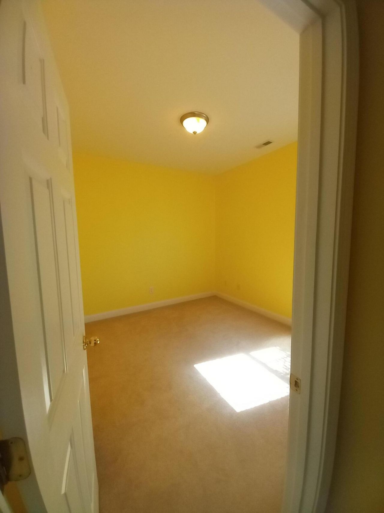 206 Equinox Circle Photo 26