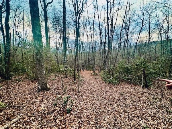 00 Milo Webb Drive, Crossville, TN 38572