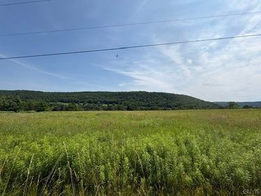 3838 Union Valley Road, Cincinnatus, NY 13052