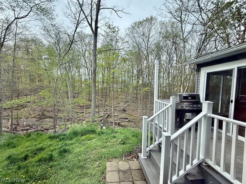 999 Concord Drive, Medina, OH 44256 Photo 46