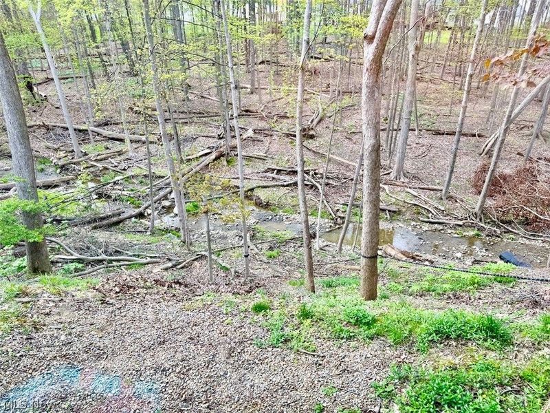 999 Concord Drive, Medina, OH 44256 Photo 47