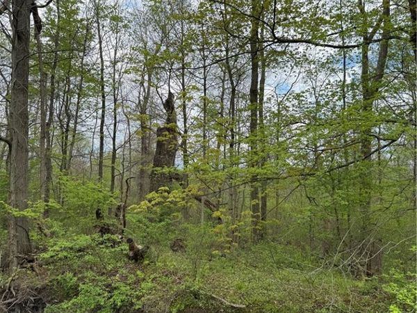 V/L Donley Road , Middlefield, OH 44062