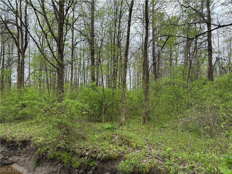V/L Donley Road, Middlefield, OH 44062 Photo 18