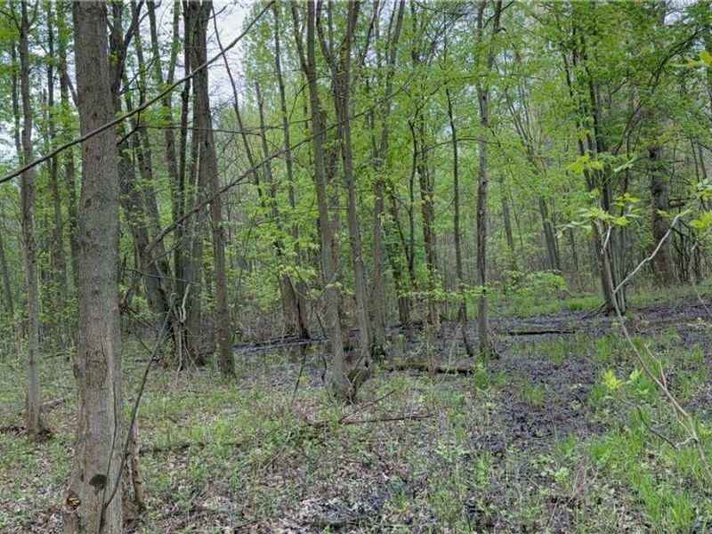 V/L Donley Road, Middlefield, OH 44062 Photo 26