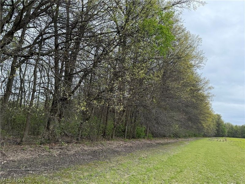 V/L Donley Road, Middlefield, OH 44062 Photo 29
